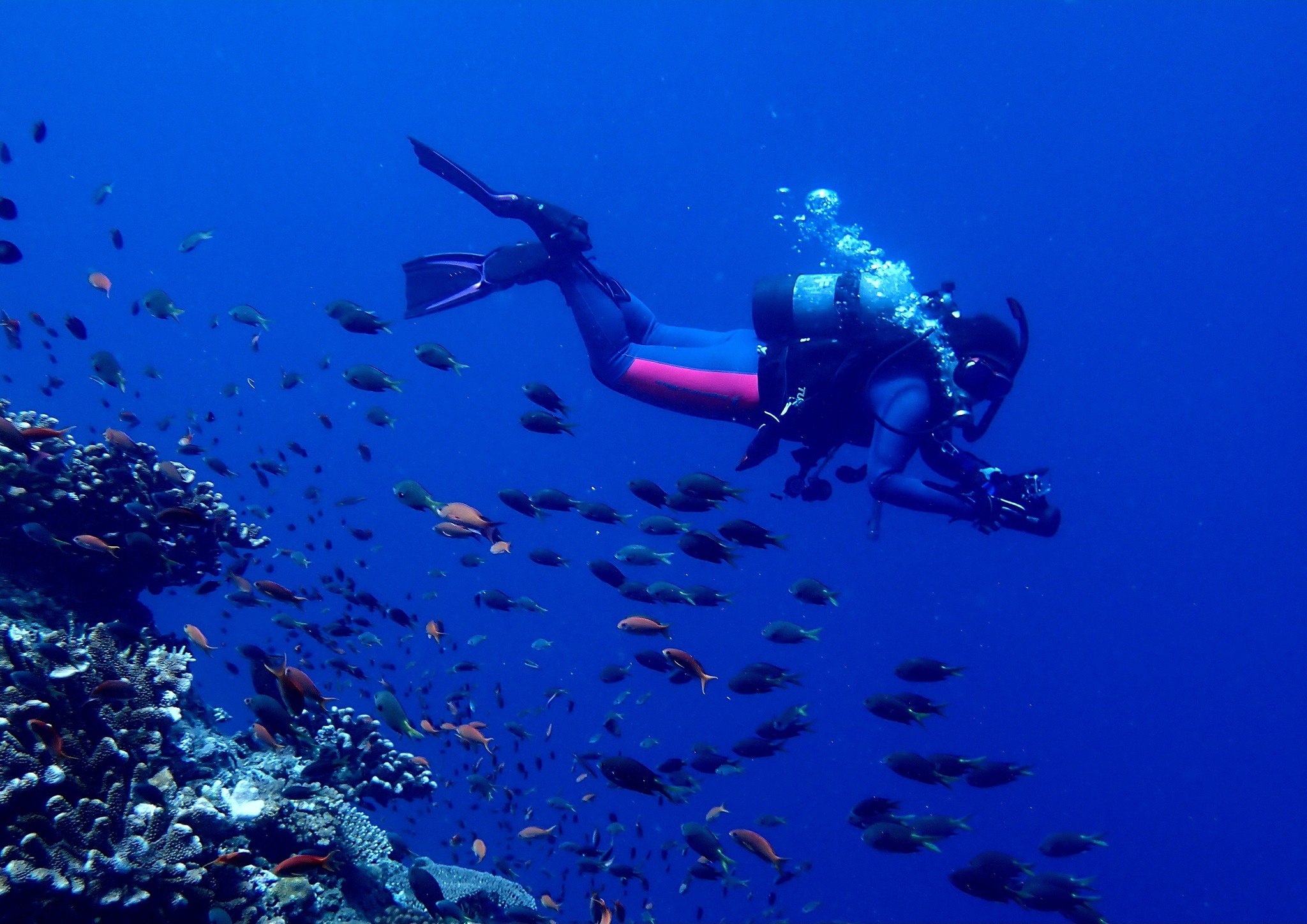 530872478_3648000391998122_9115903781604376567_n