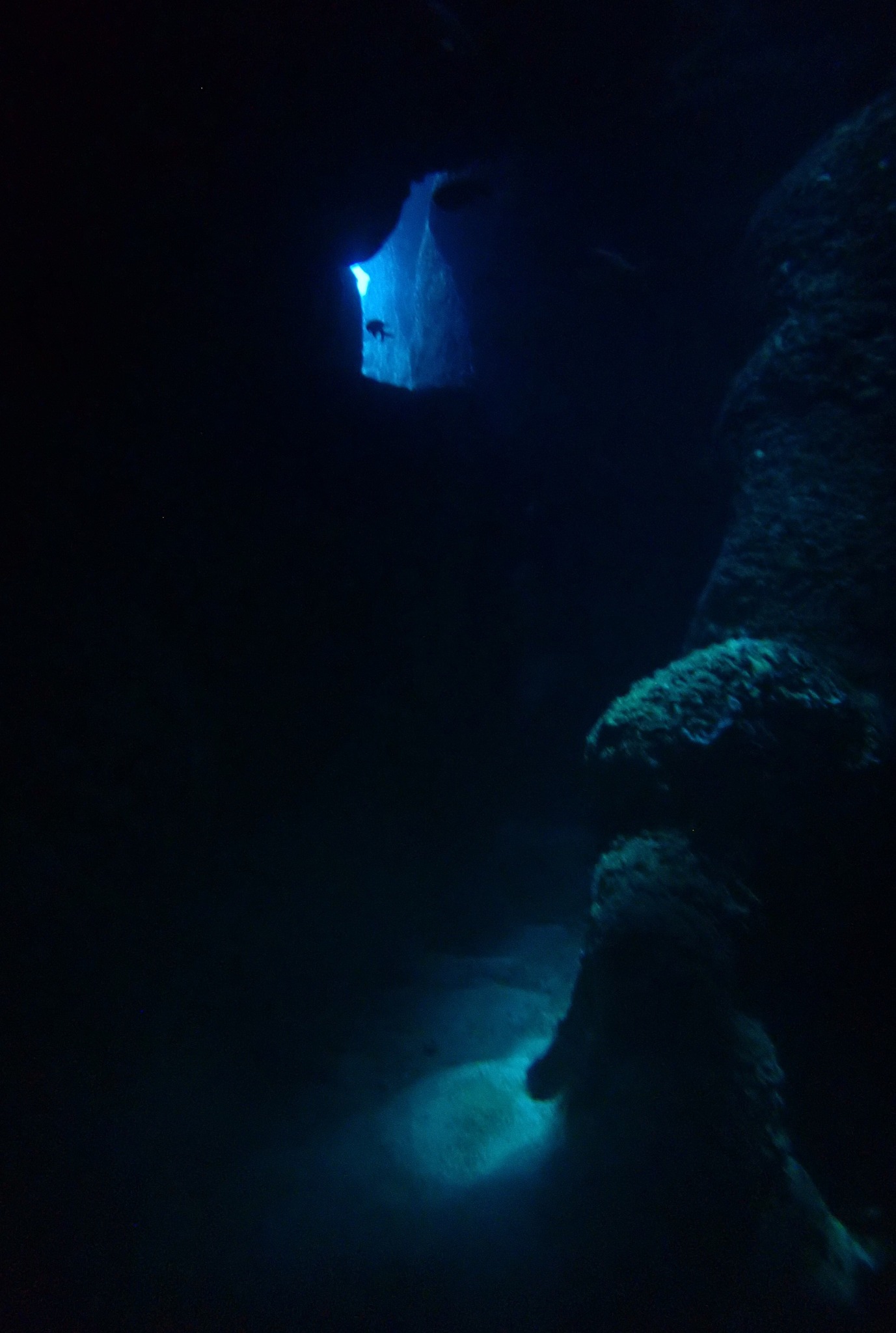 530895785_3650284198436408_5331632869315928806_n