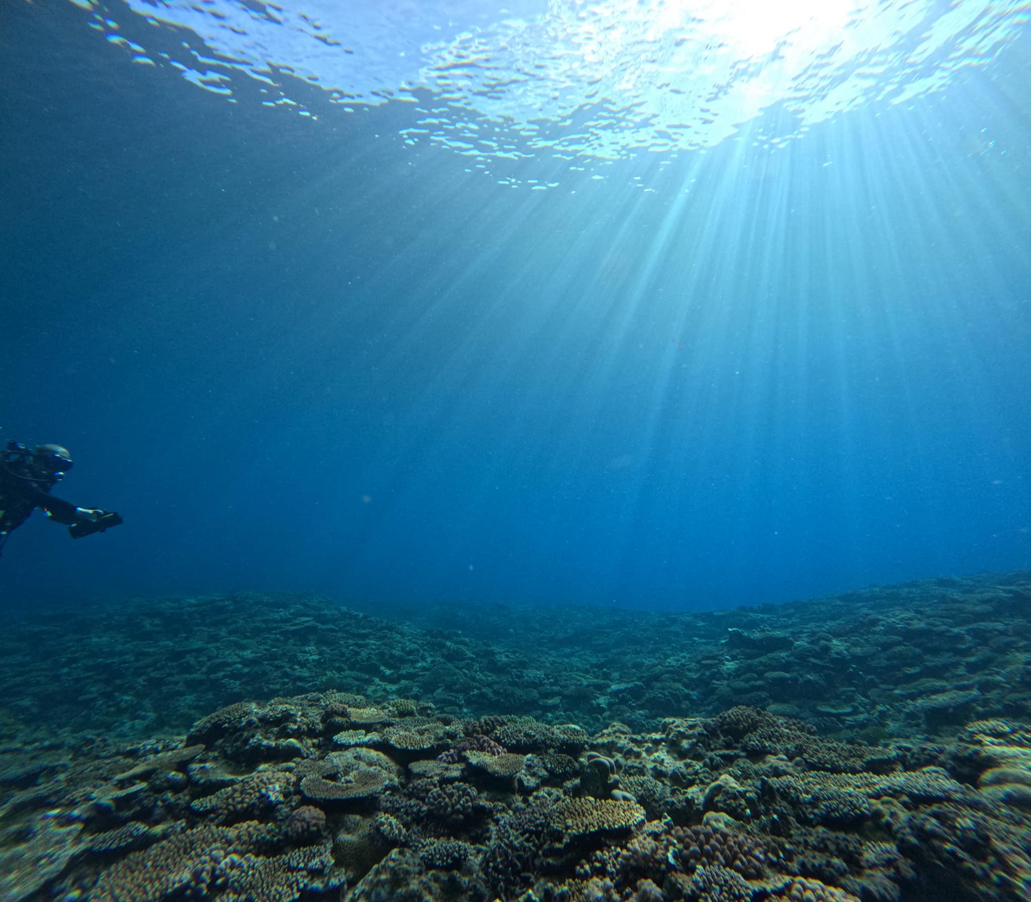 531389128_3649600581838103_5745035867945822301_n