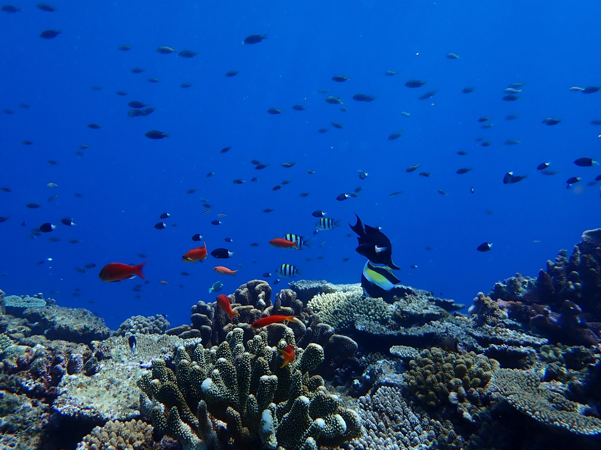 531441219_3652767288188099_8304389638621735374_n