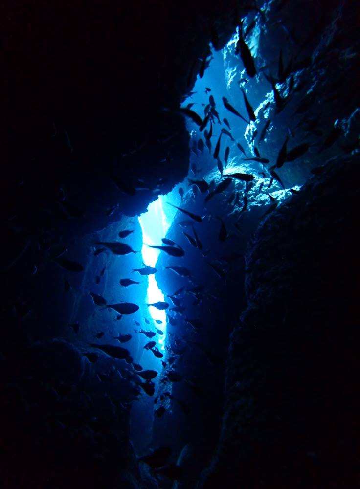 531613973_3651425711655590_7447866580927366462_n