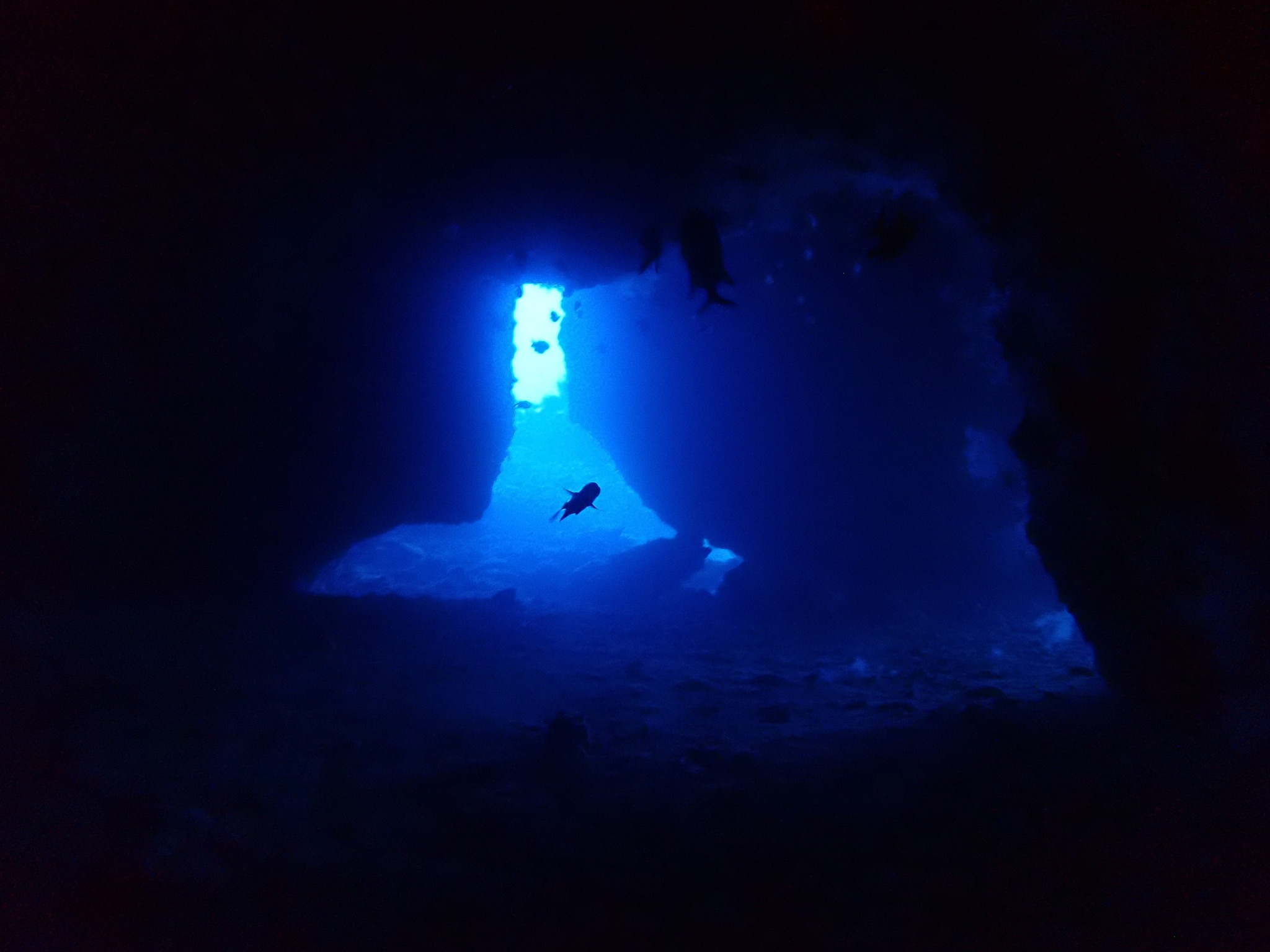 532003777_3652767371521424_3915550687748775541_n