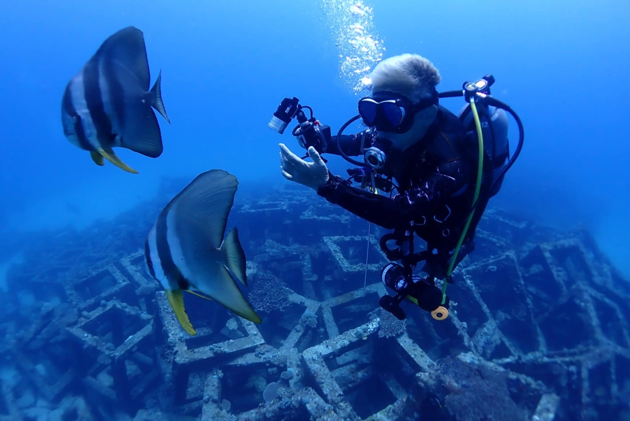 532365292_3655163391281822_1316974313919573613_n