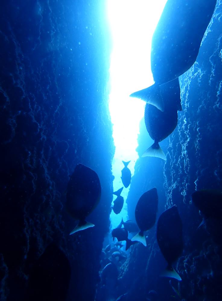 532413515_3652766938188134_8187409934632923966_n