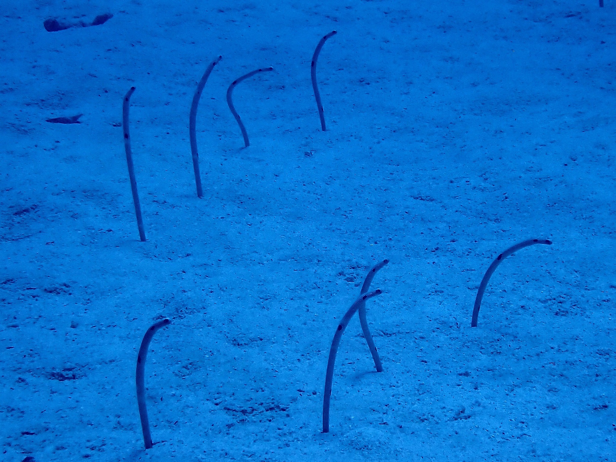 532489065_3653988221399339_4262014889457115615_n