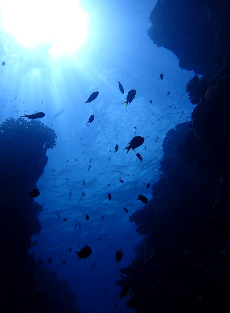 532701875_3652766838188144_4869104847180788_n