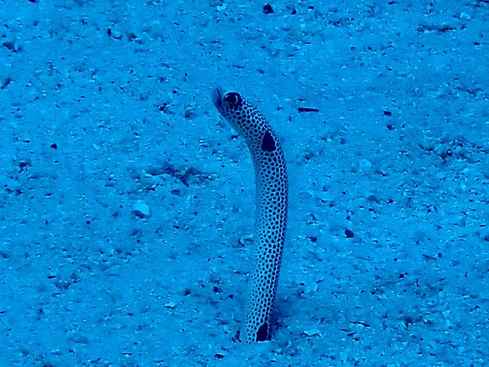 532912946_3653987861399375_5022796807832624027_n