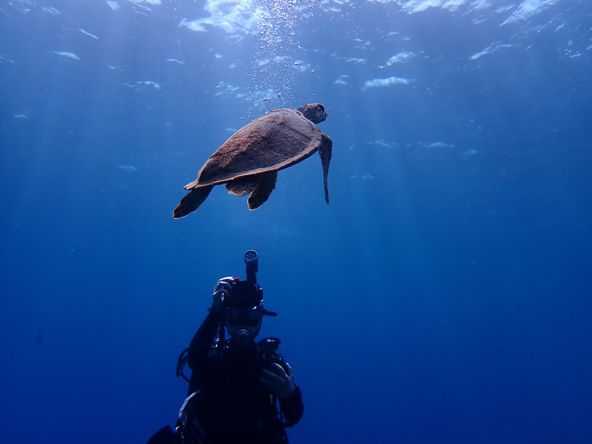 533102962_3652767081521453_119415230903141894_n