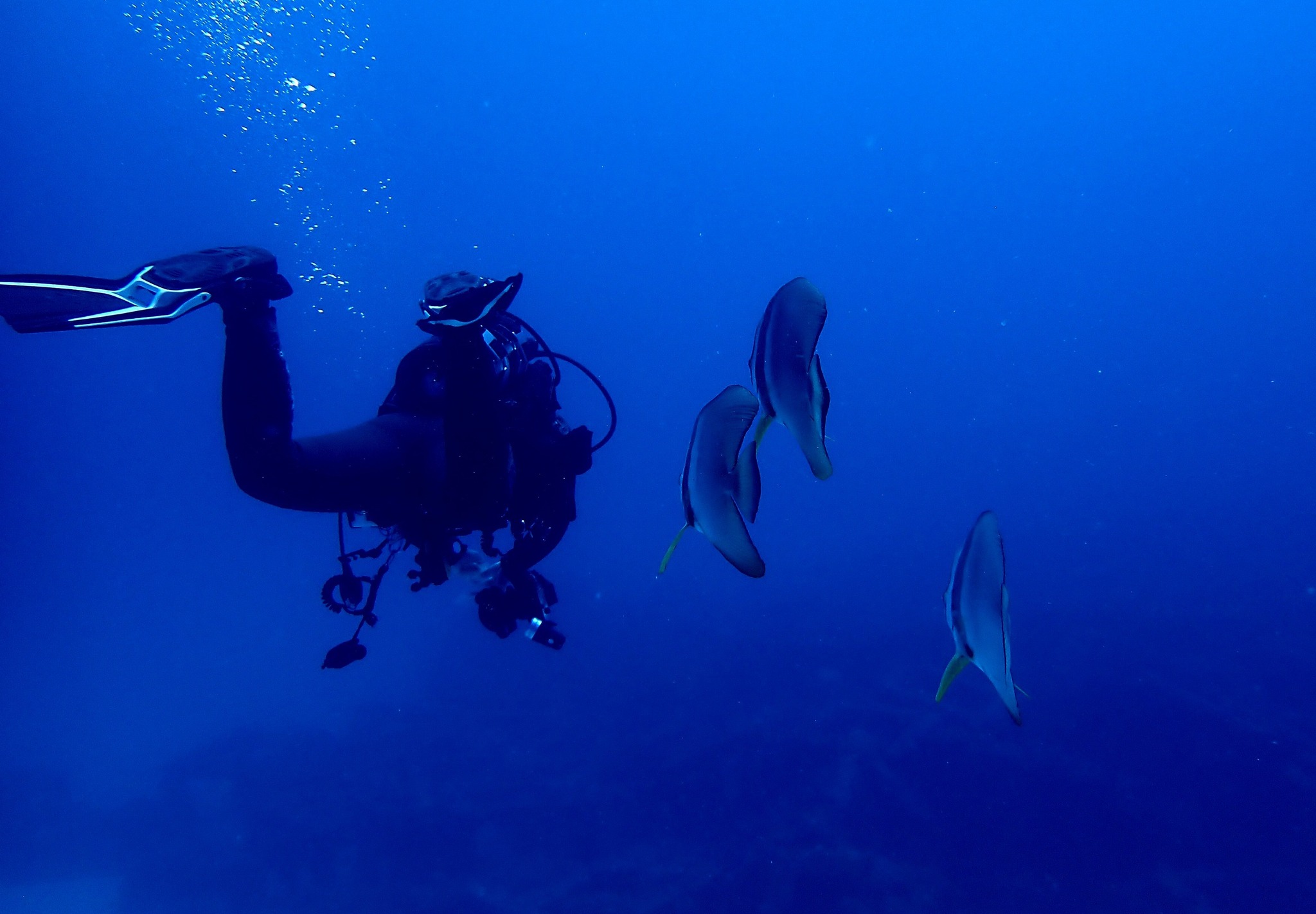 533113313_3655163824615112_3830904229689167366_n