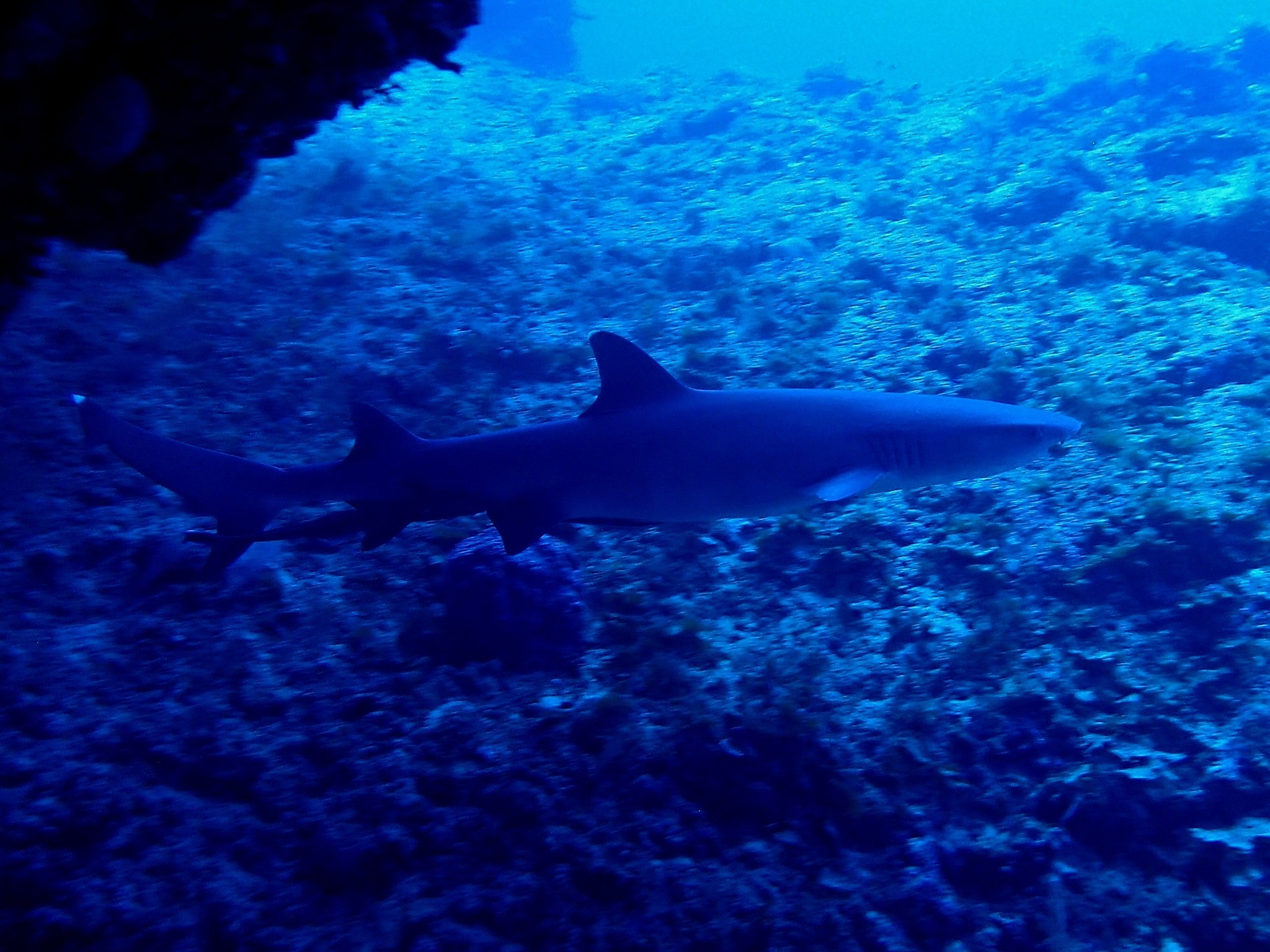 533234377_3652767208188107_6221555408861550020_n