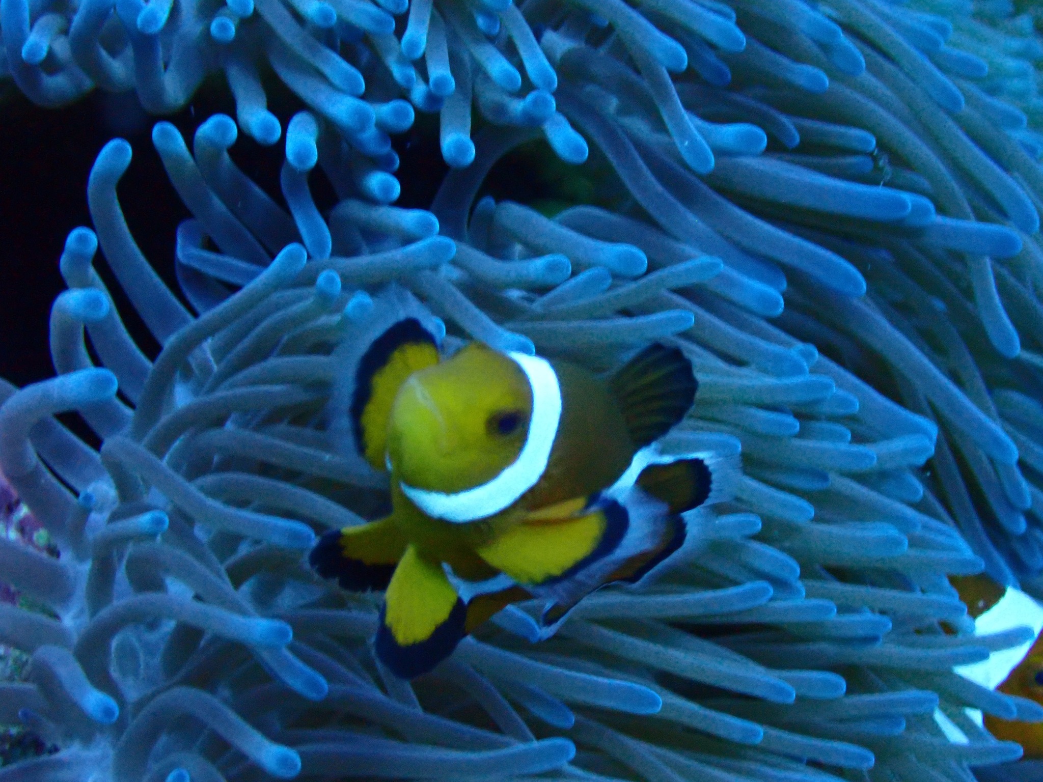 533236972_3652767721521389_6581951254346745200_n