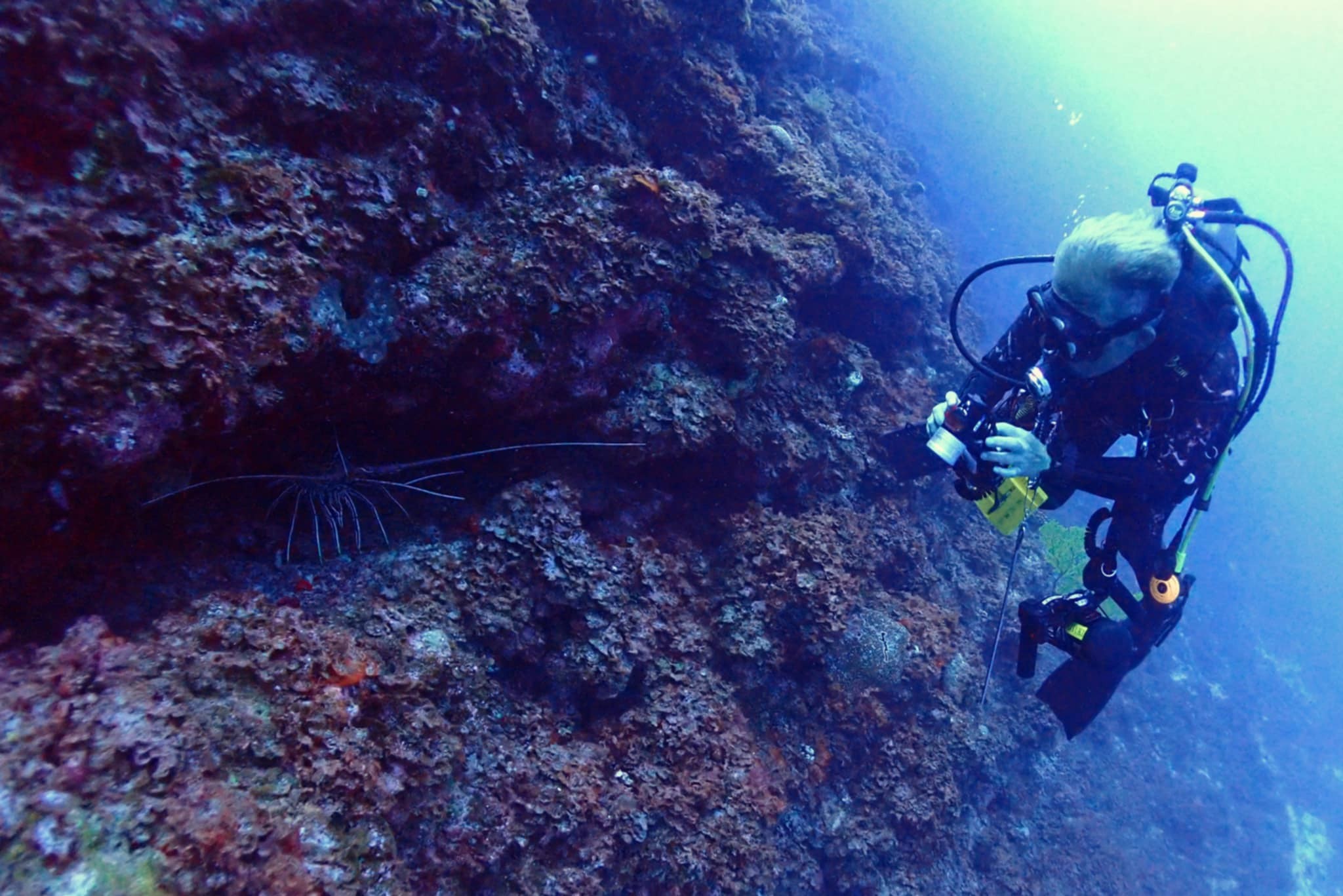 533411173_3655163564615138_8215572092215583462_n