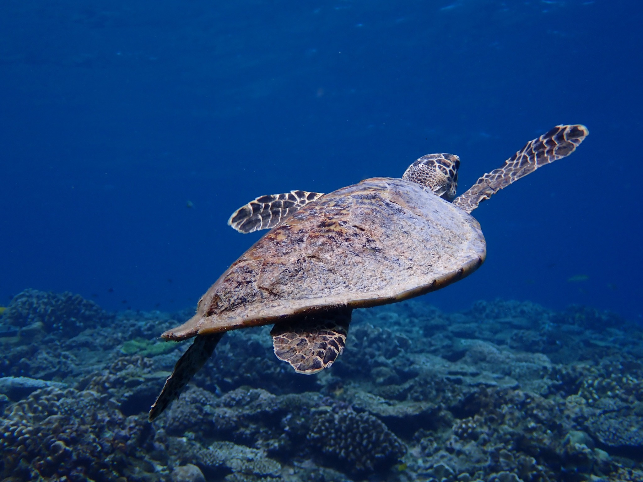 533554692_3652767548188073_7665413366065479188_n