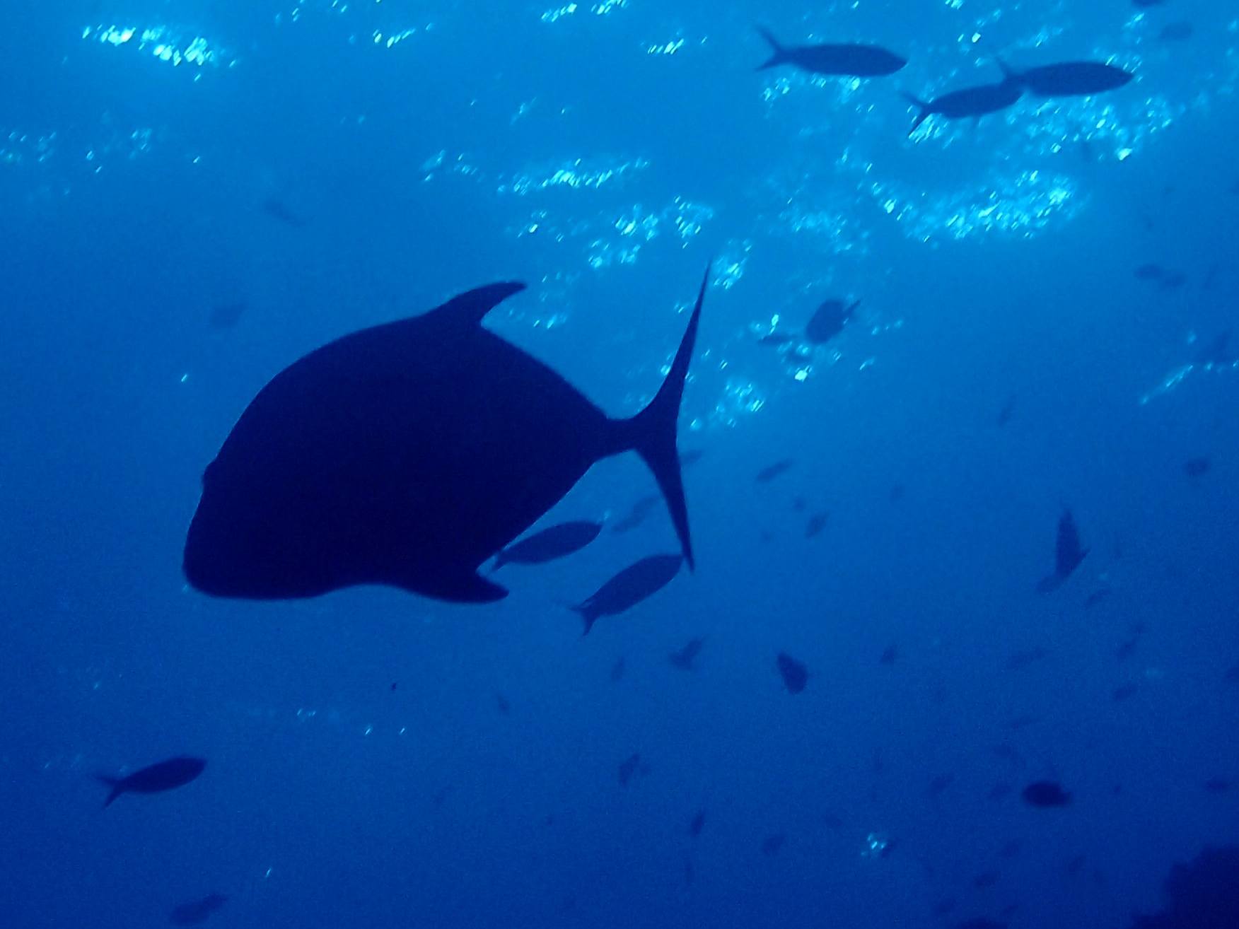 533578610_3655163047948523_8815793383767221680_n