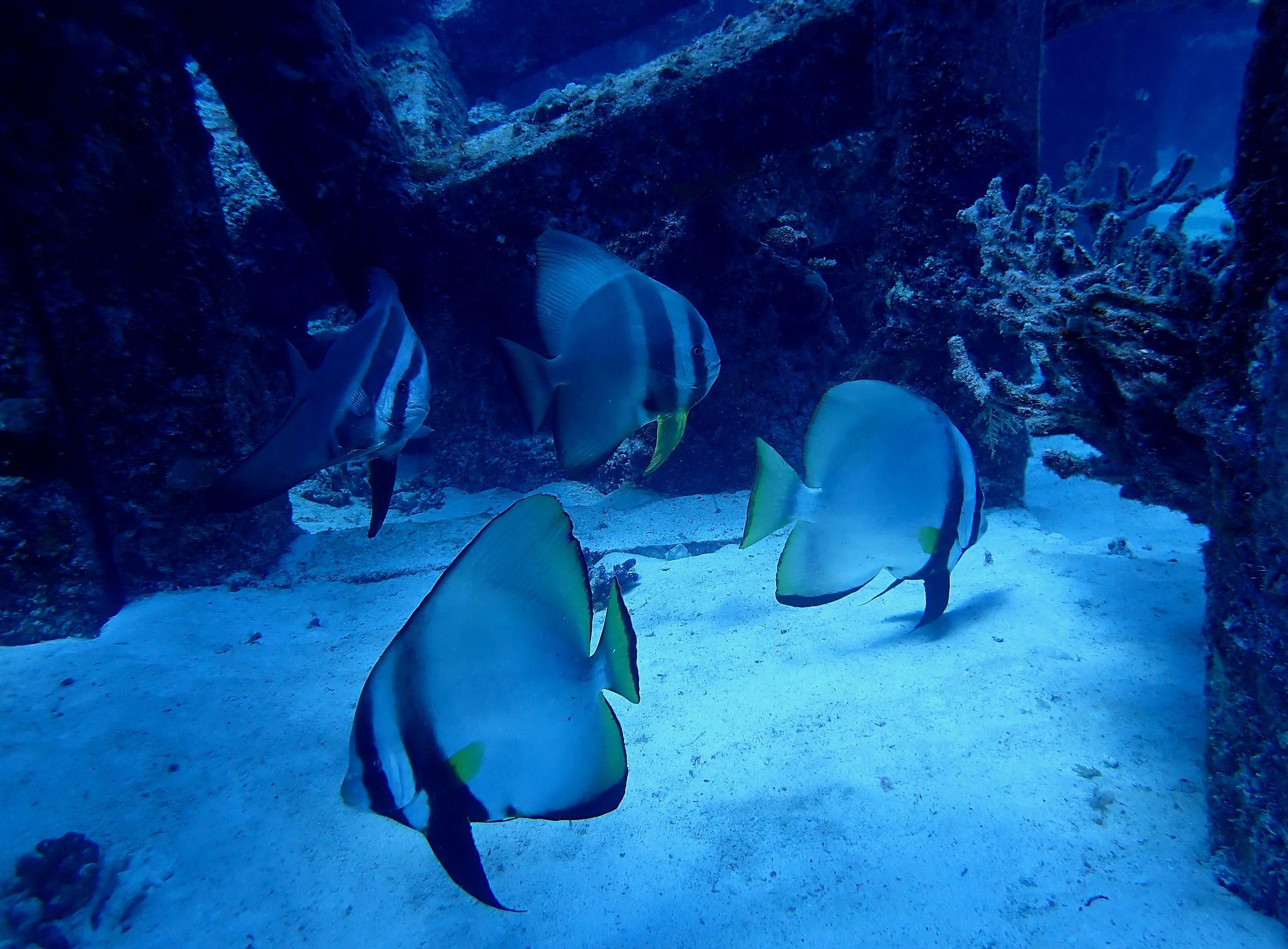 533948675_3655163494615145_9154699526358056665_n