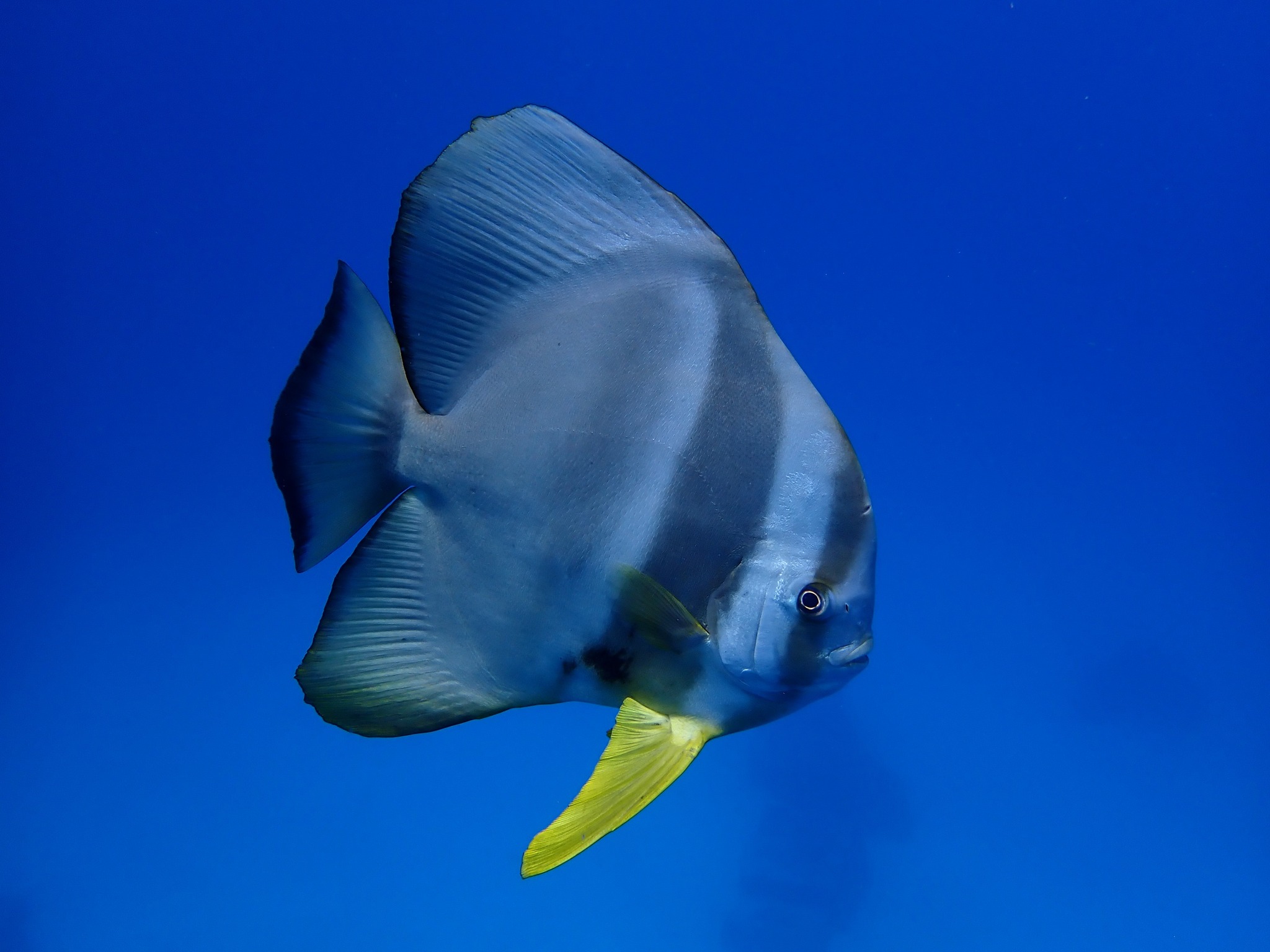 534600781_3655163917948436_4699212048408288673_n