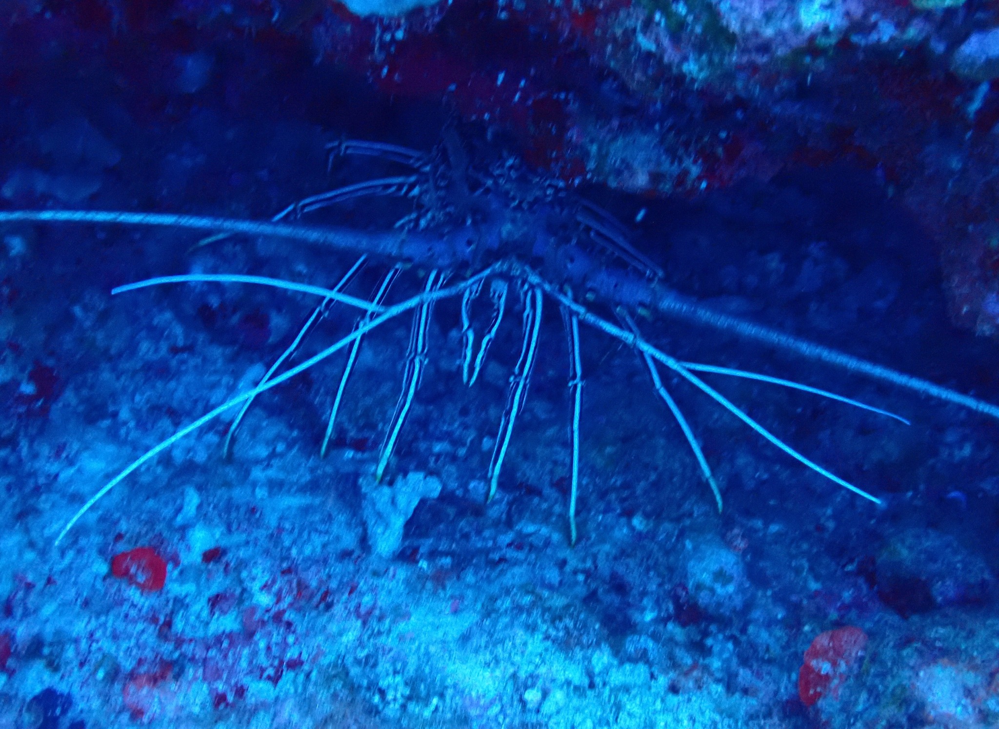 534609781_3655163664615128_9030521284511212069_n