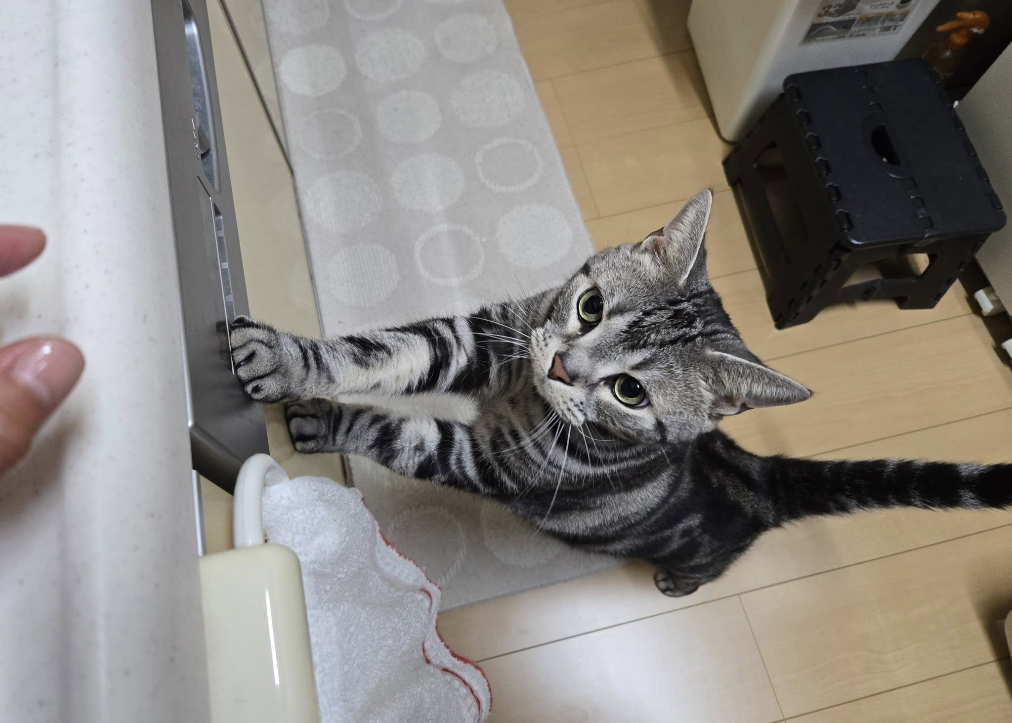 535638727_3657267094404785_8311921249303068812_n