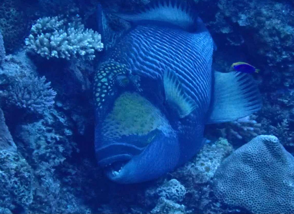 Messenger_creation_69c0b2c2-5084-49ed-a713-d98ad104e8b5