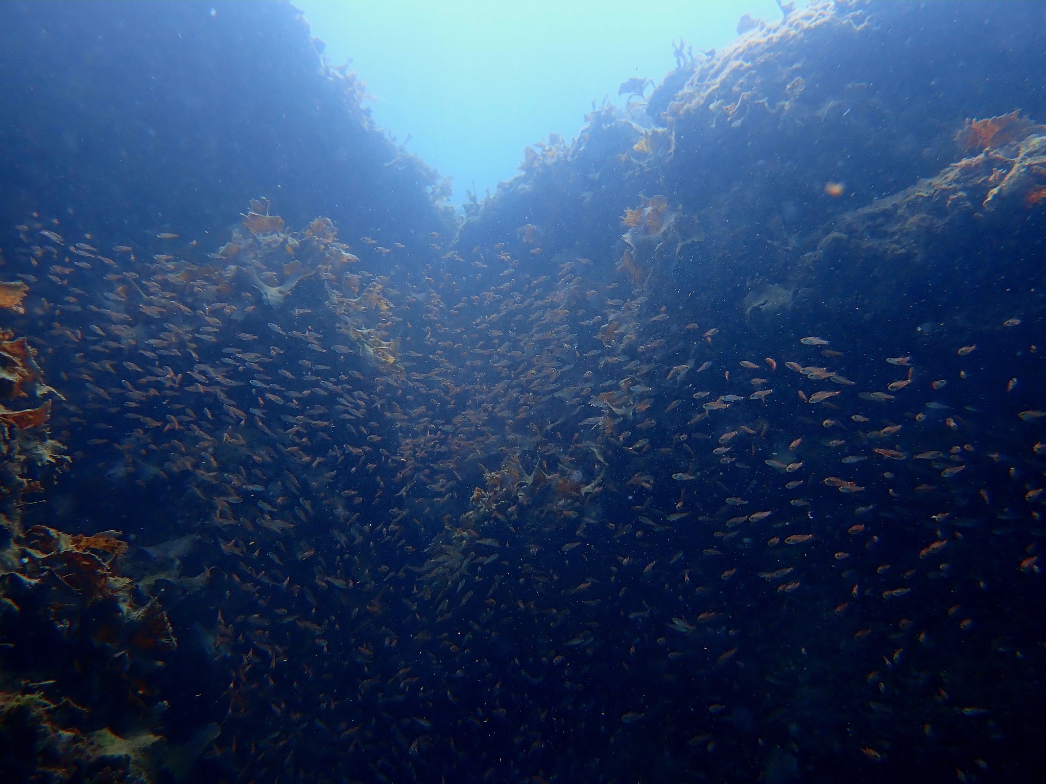 541500032_3672135226251305_2978201778422427535_n