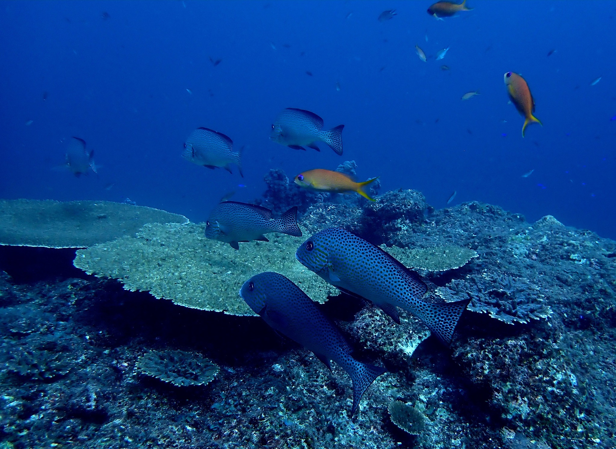 545528490_3688599421271552_4161236213548637832_n