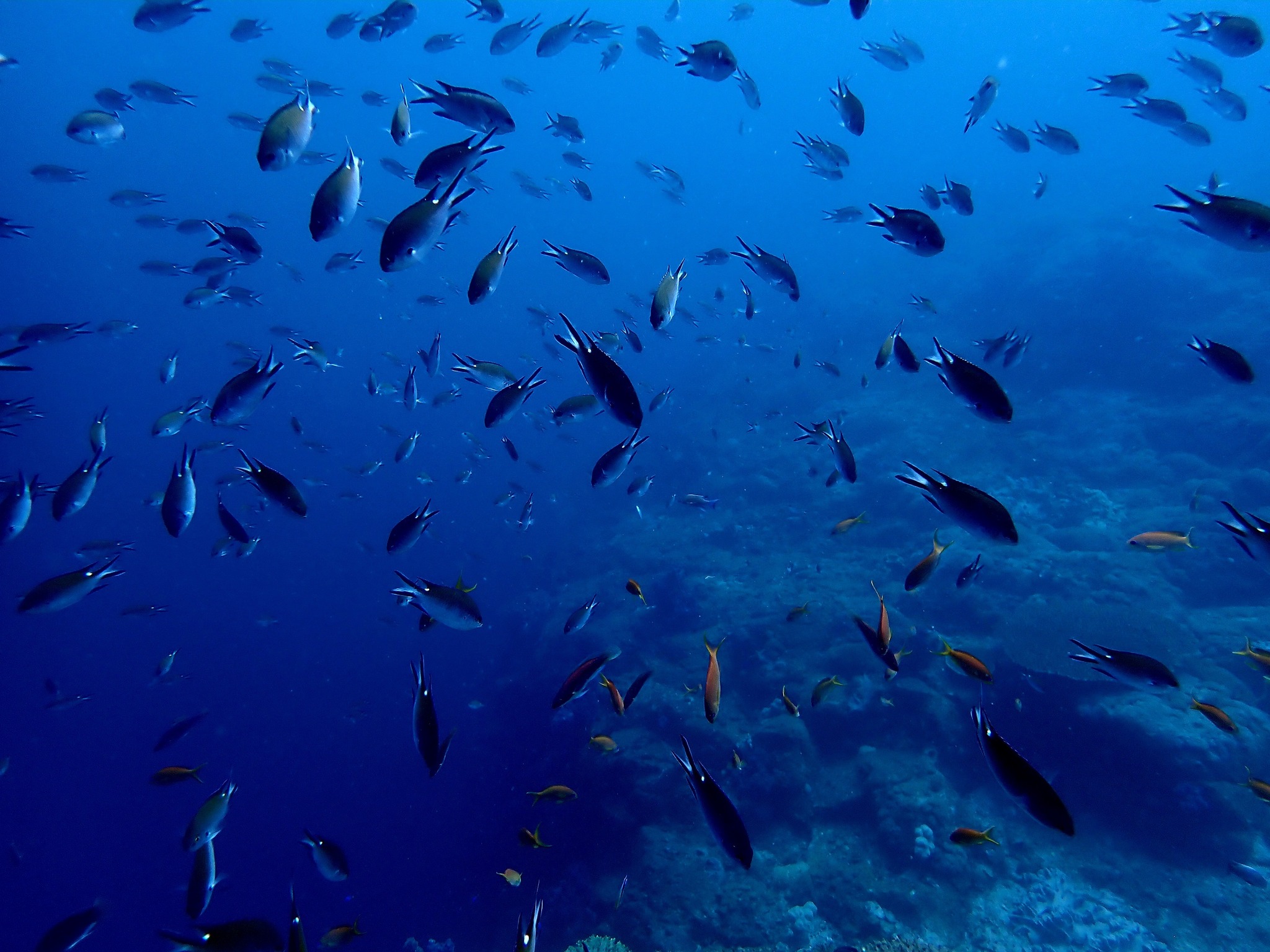 546905053_3688599601271534_731220090918352402_n