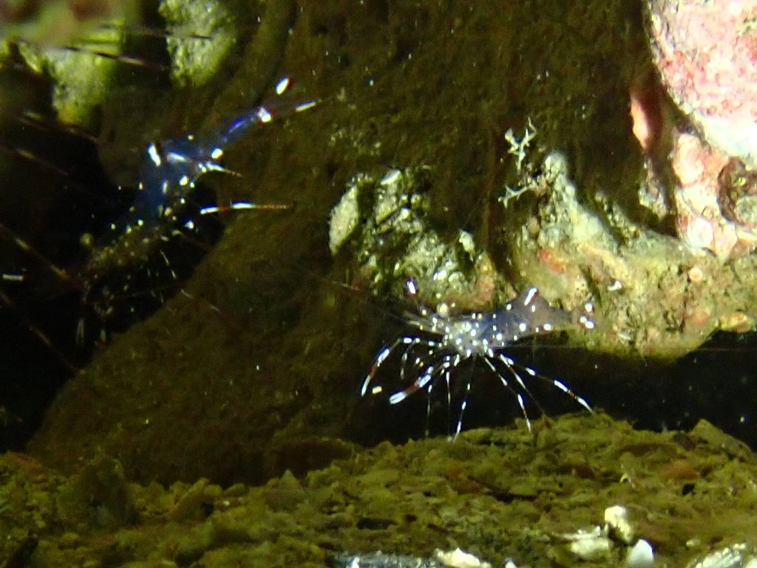 547515676_3688598291271665_5627589995104337586_n