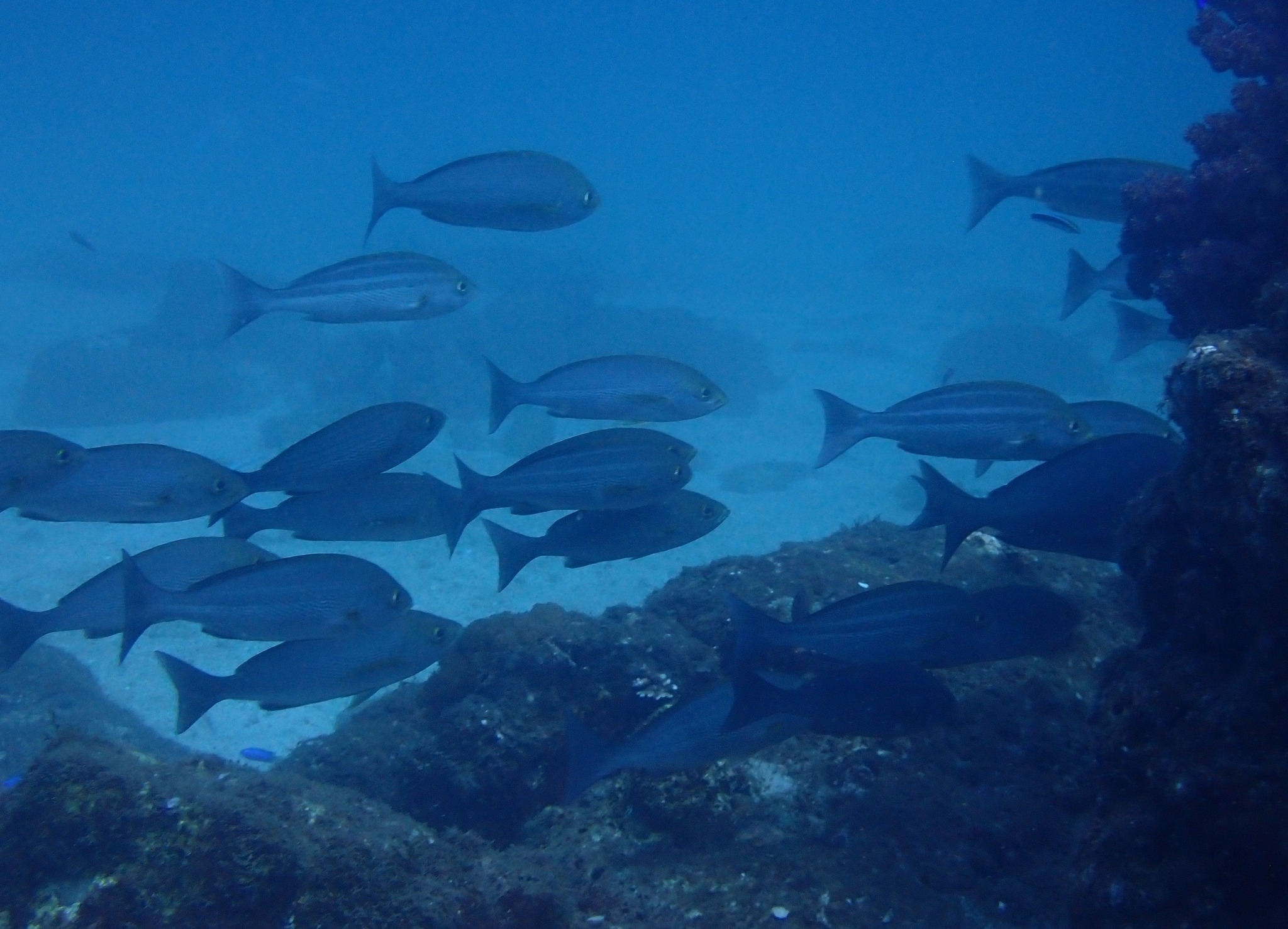 547642968_3688599704604857_5452681449505017744_n