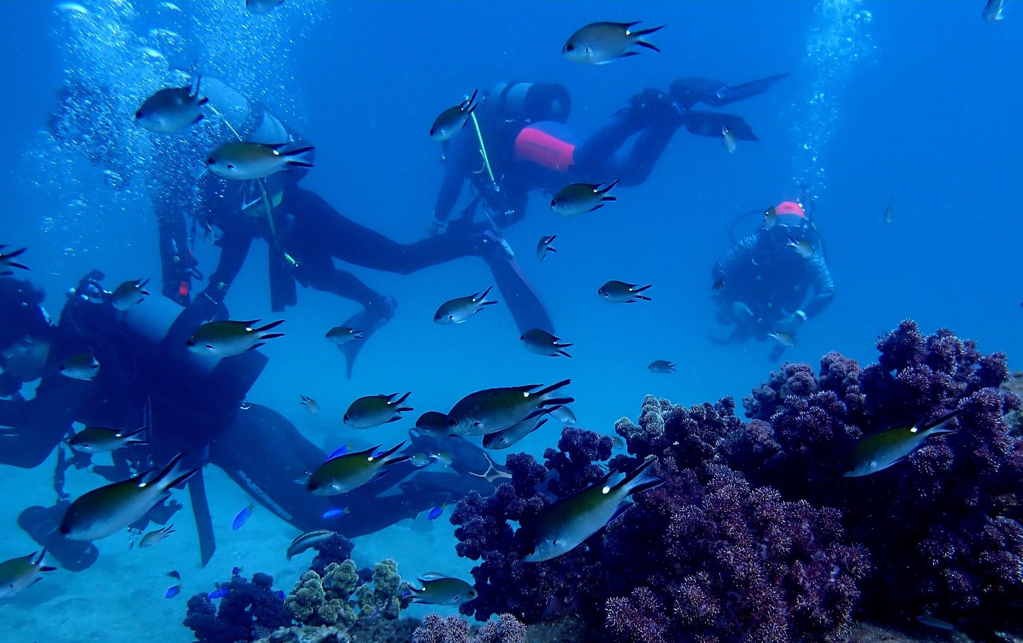 548123465_3688599201271574_5299962922468360787_n