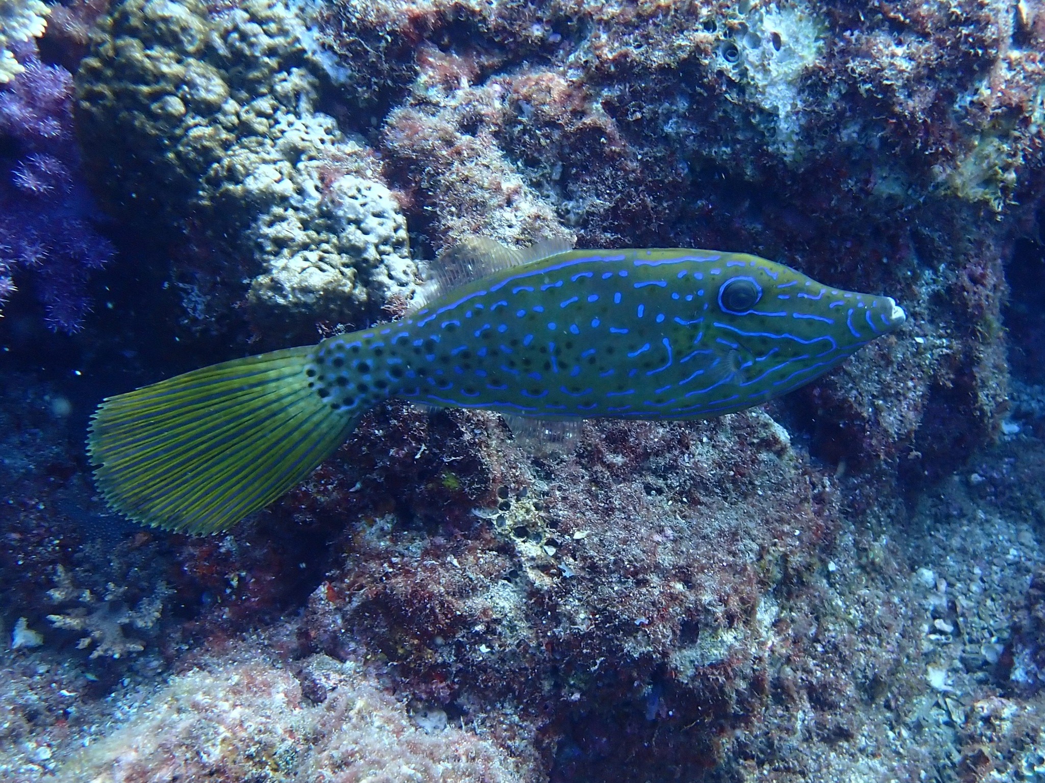 548211863_3688599291271565_2809707587693650400_n