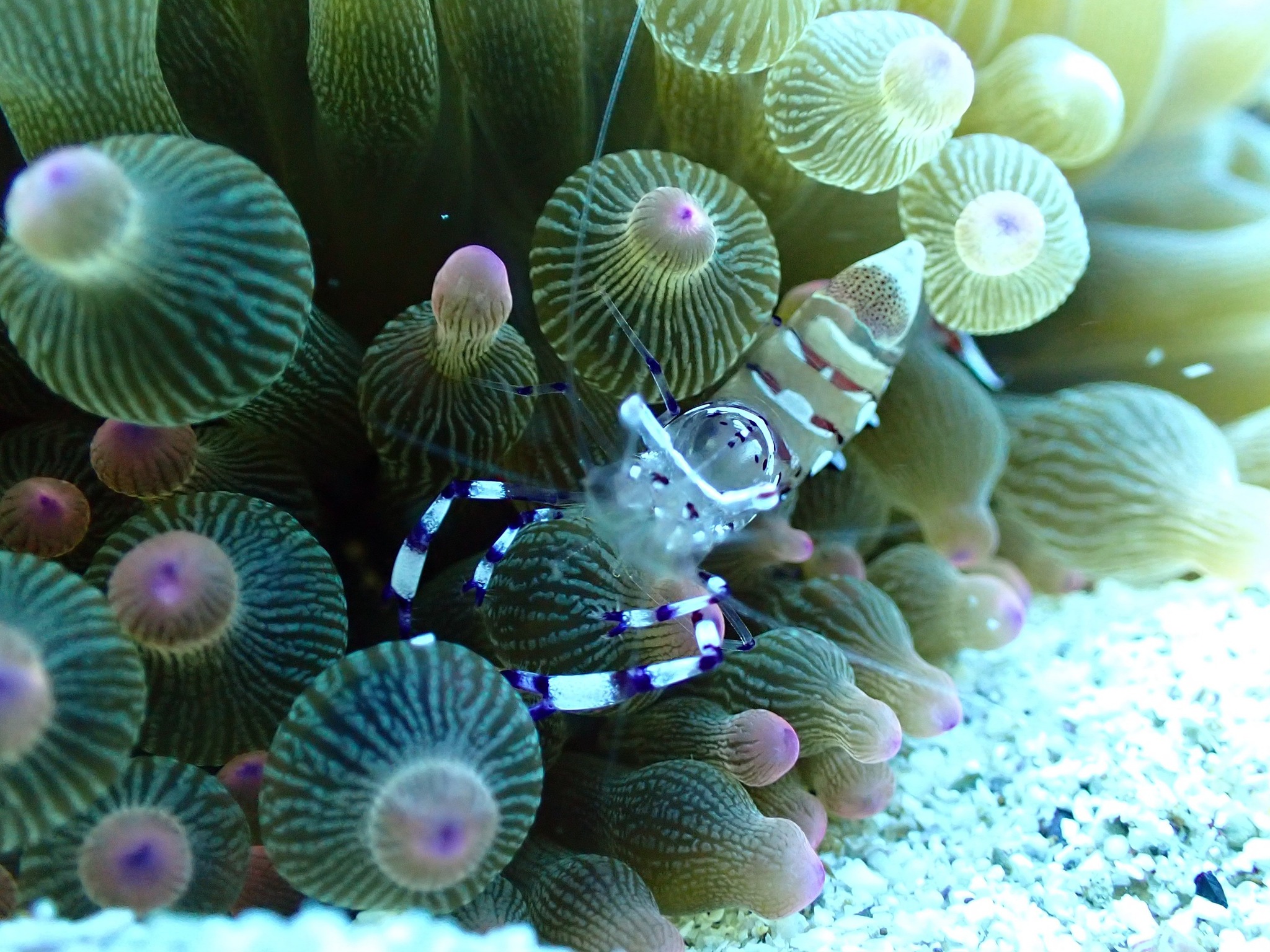 548220041_3688598927938268_3424960258501944183_n