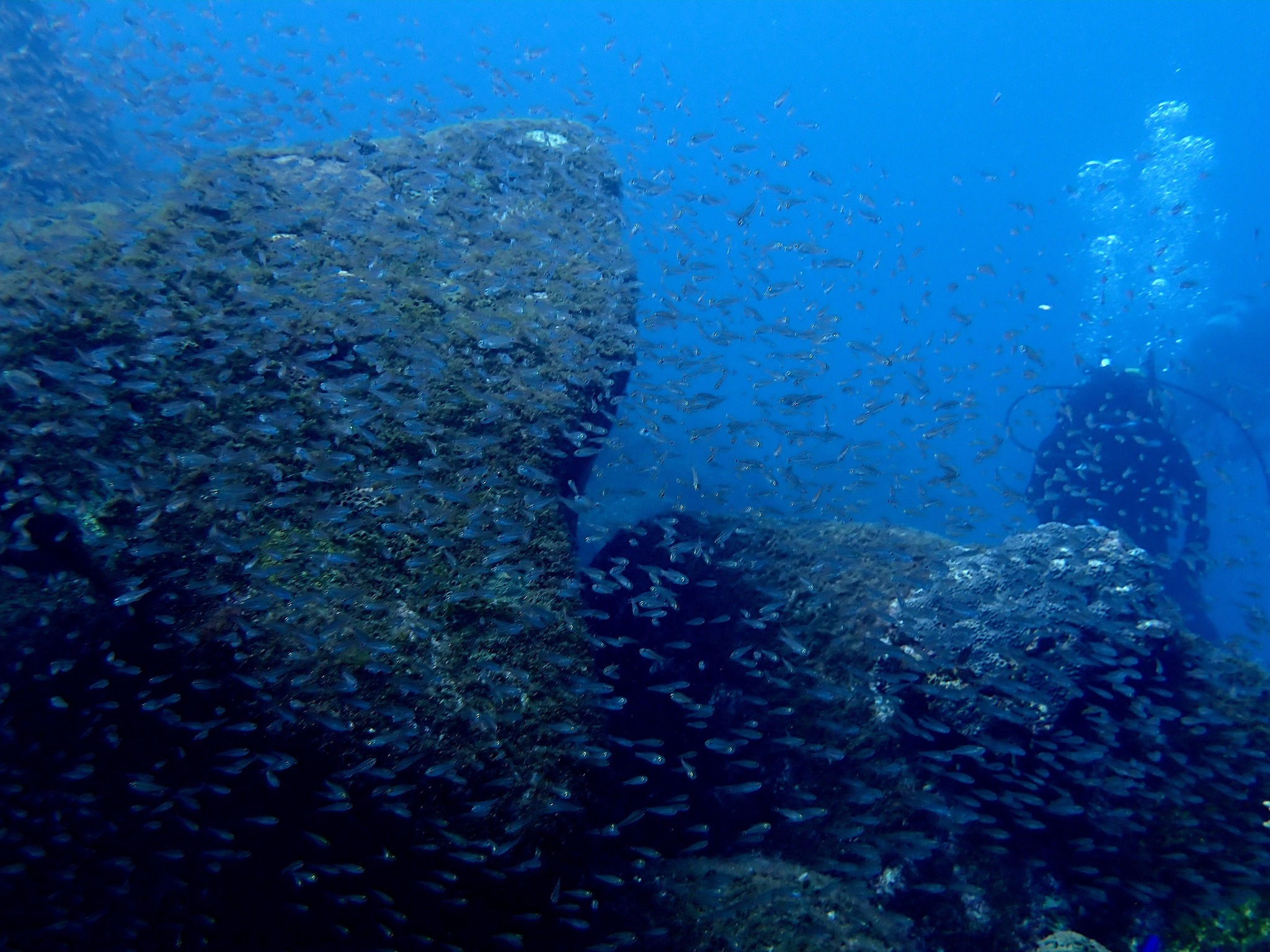 548256450_3688599514604876_7805875164979300194_n