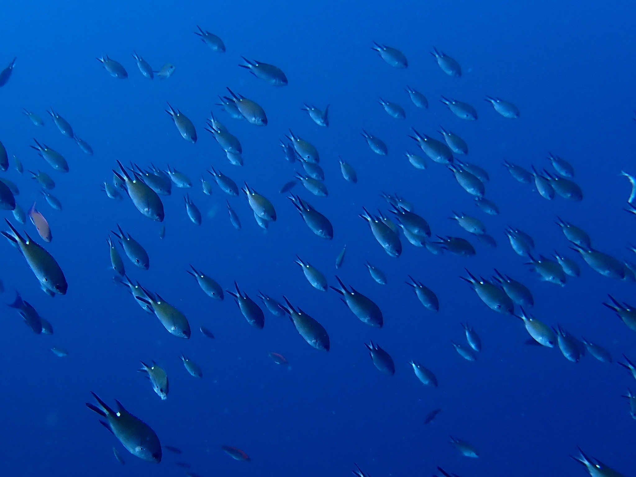 548322134_3688599351271559_194584740367955539_n