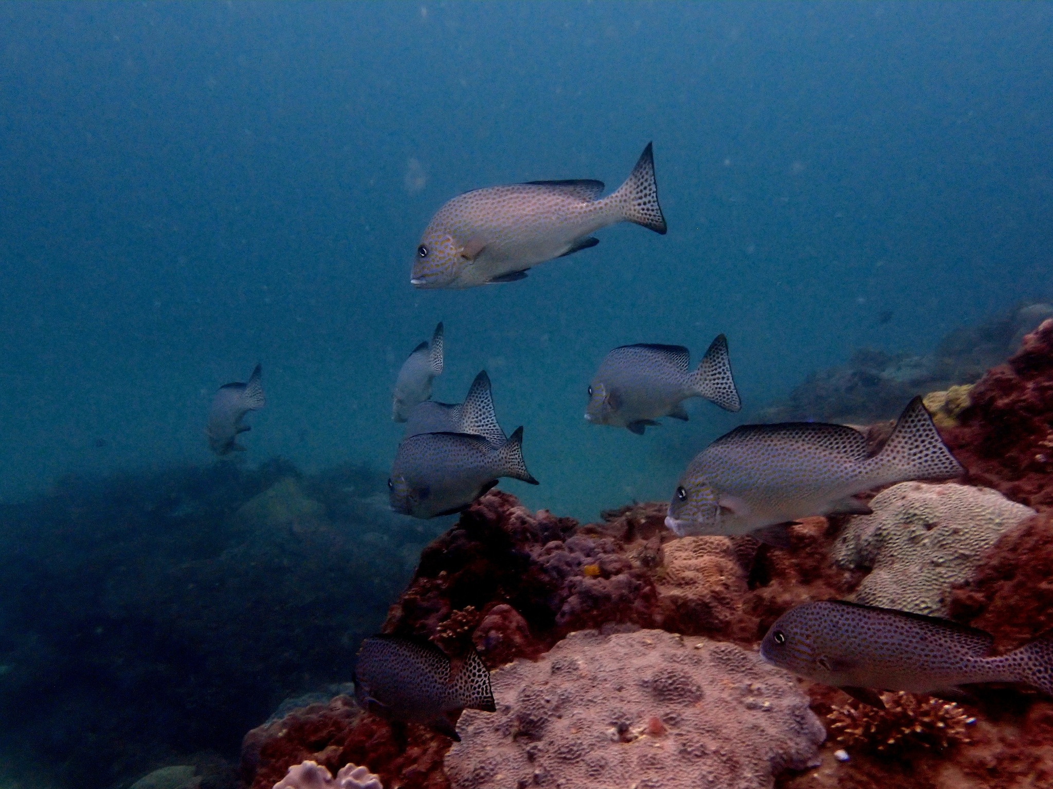 555946512_3703692126428948_4018551279210036670_n