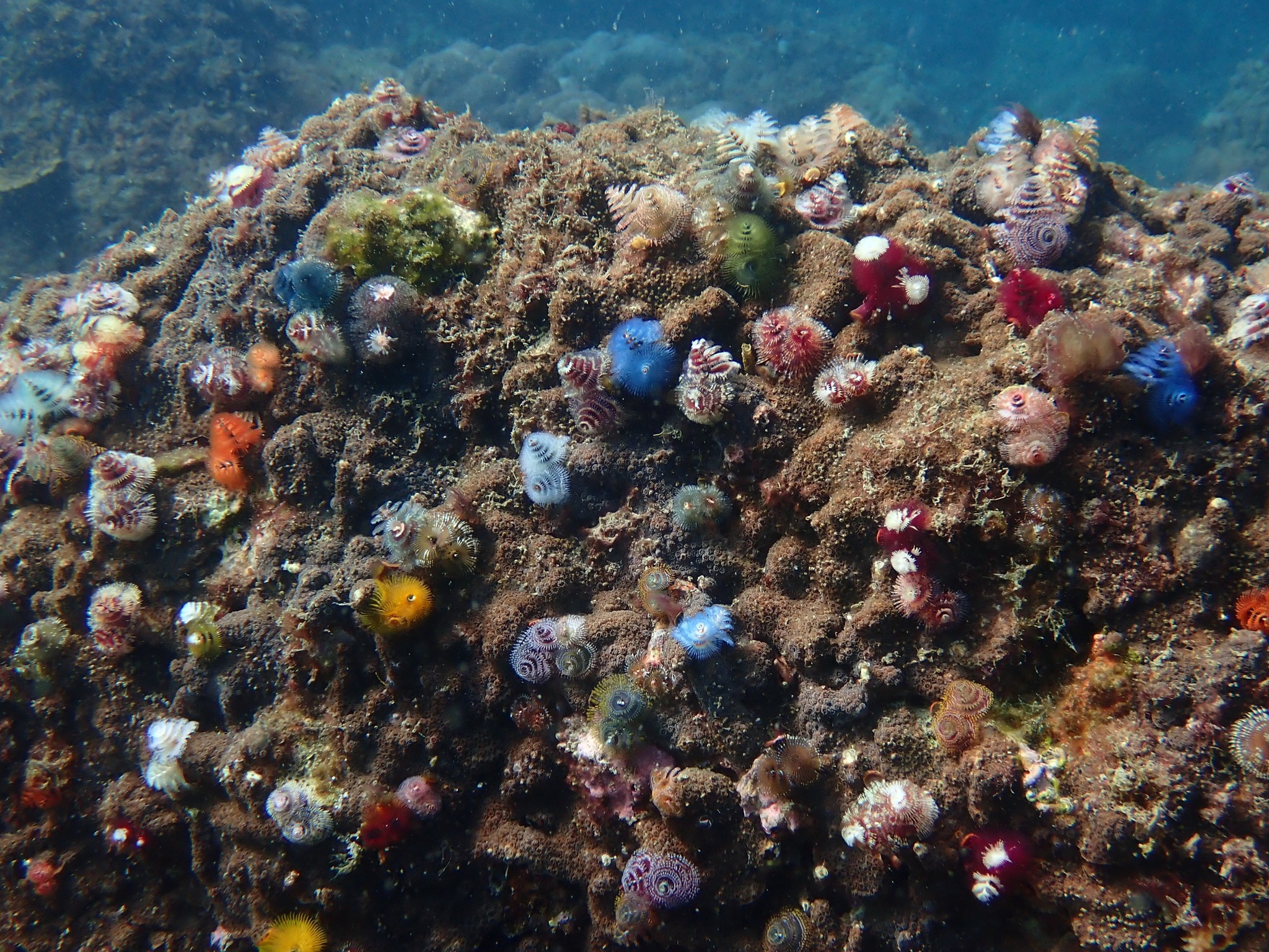 558978656_3721718154626345_1129152484185867614_n