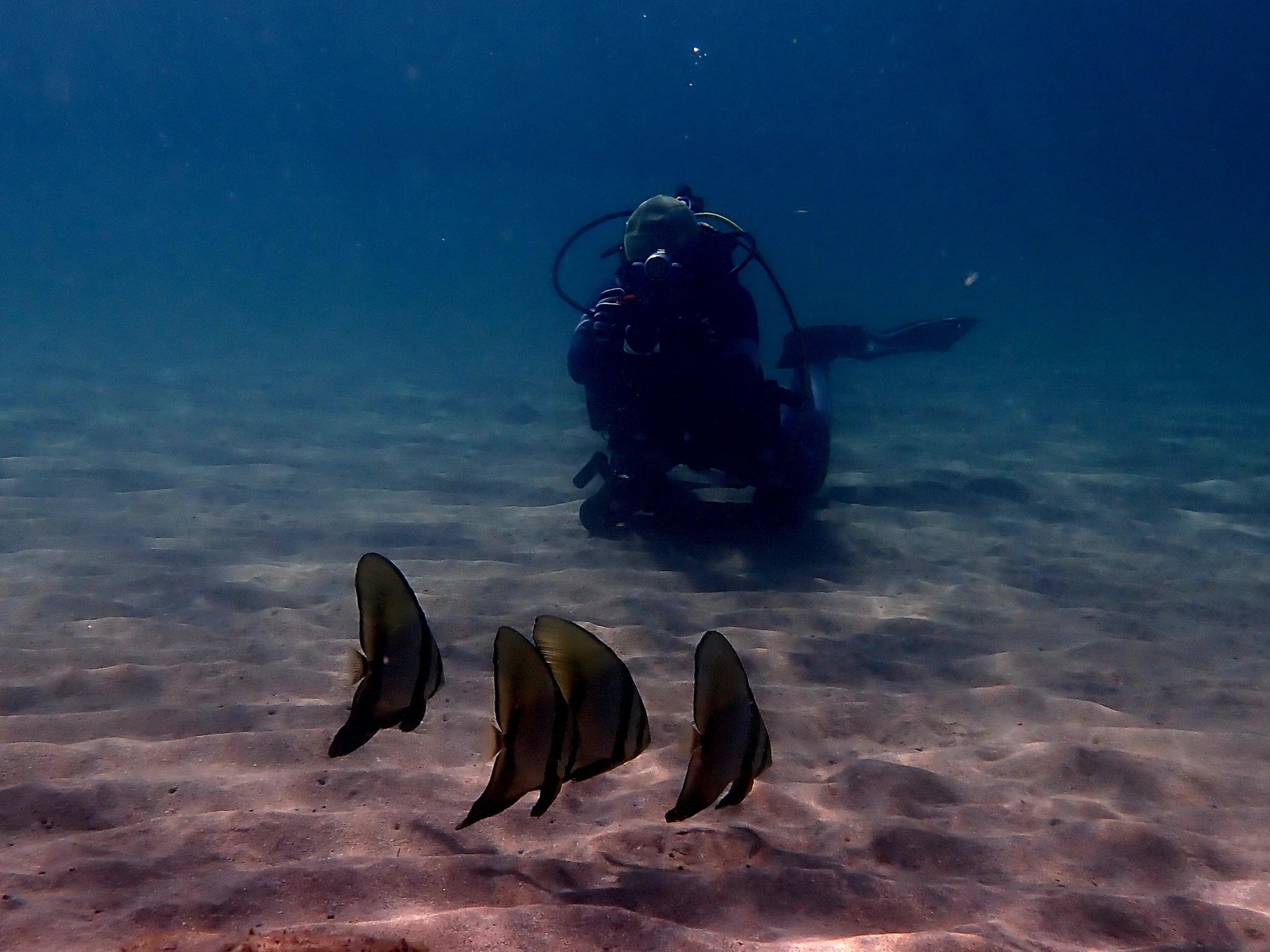 560582642_3721718261293001_4829119885975960402_n