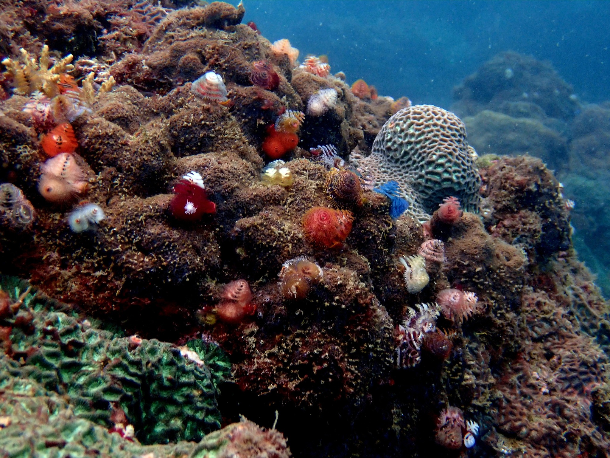 568068888_3731411126990381_8070734119897763819_n