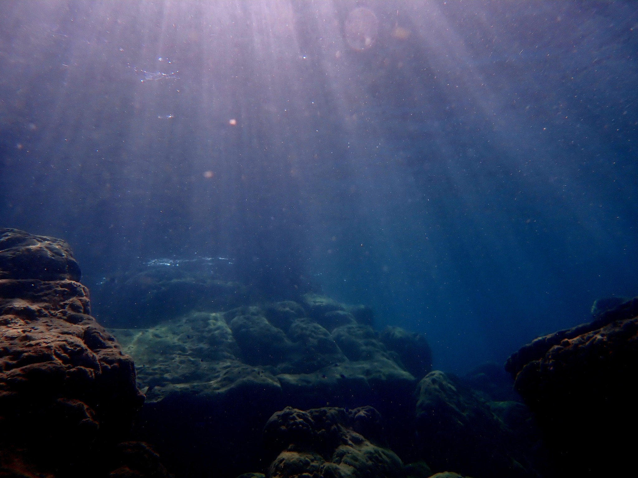 568082239_3731410953657065_4194017183043188151_n