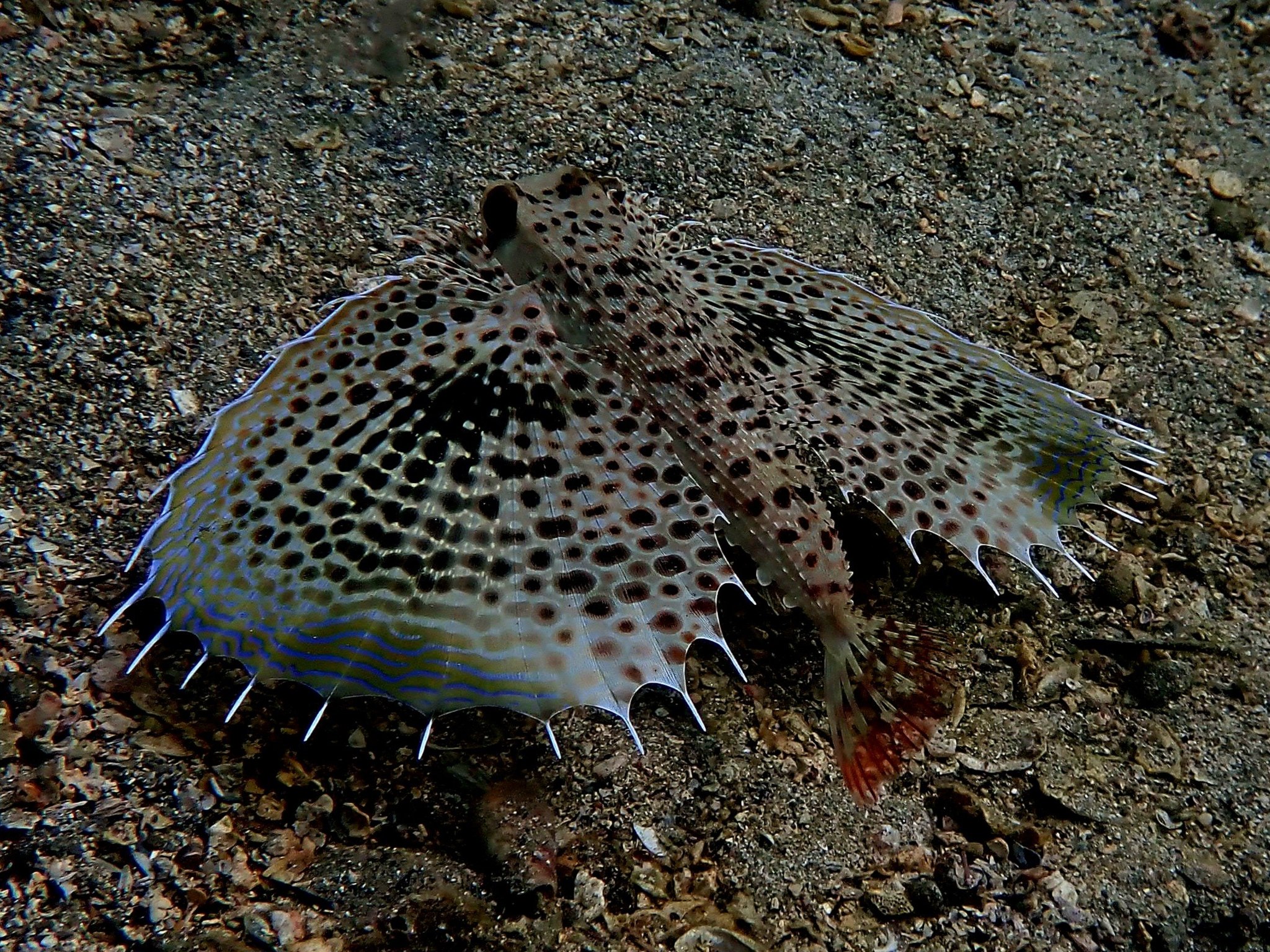 569049208_3731410756990418_8464304143706530236_n