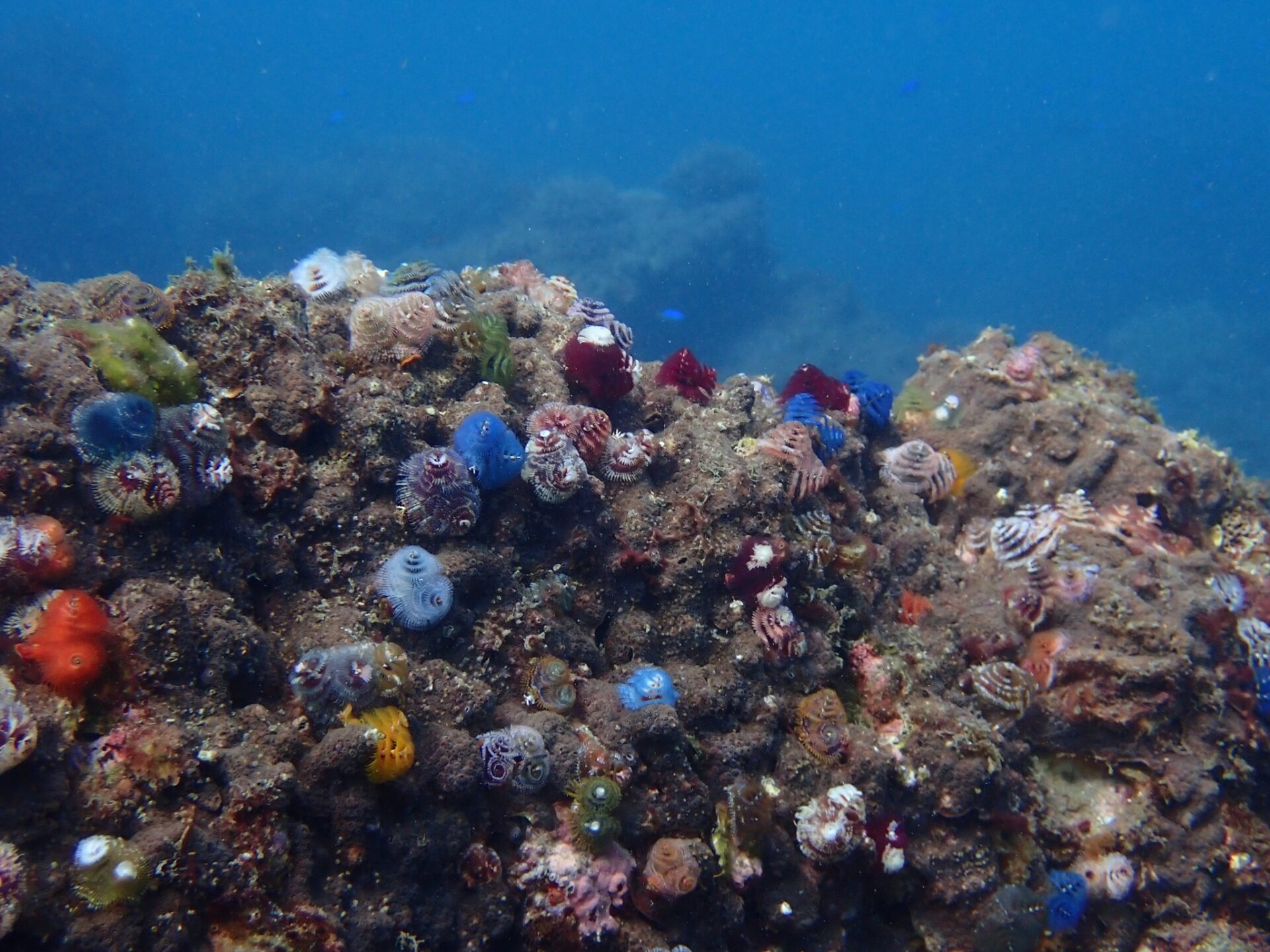 577037408_3756104311187729_7773205332553785791_n