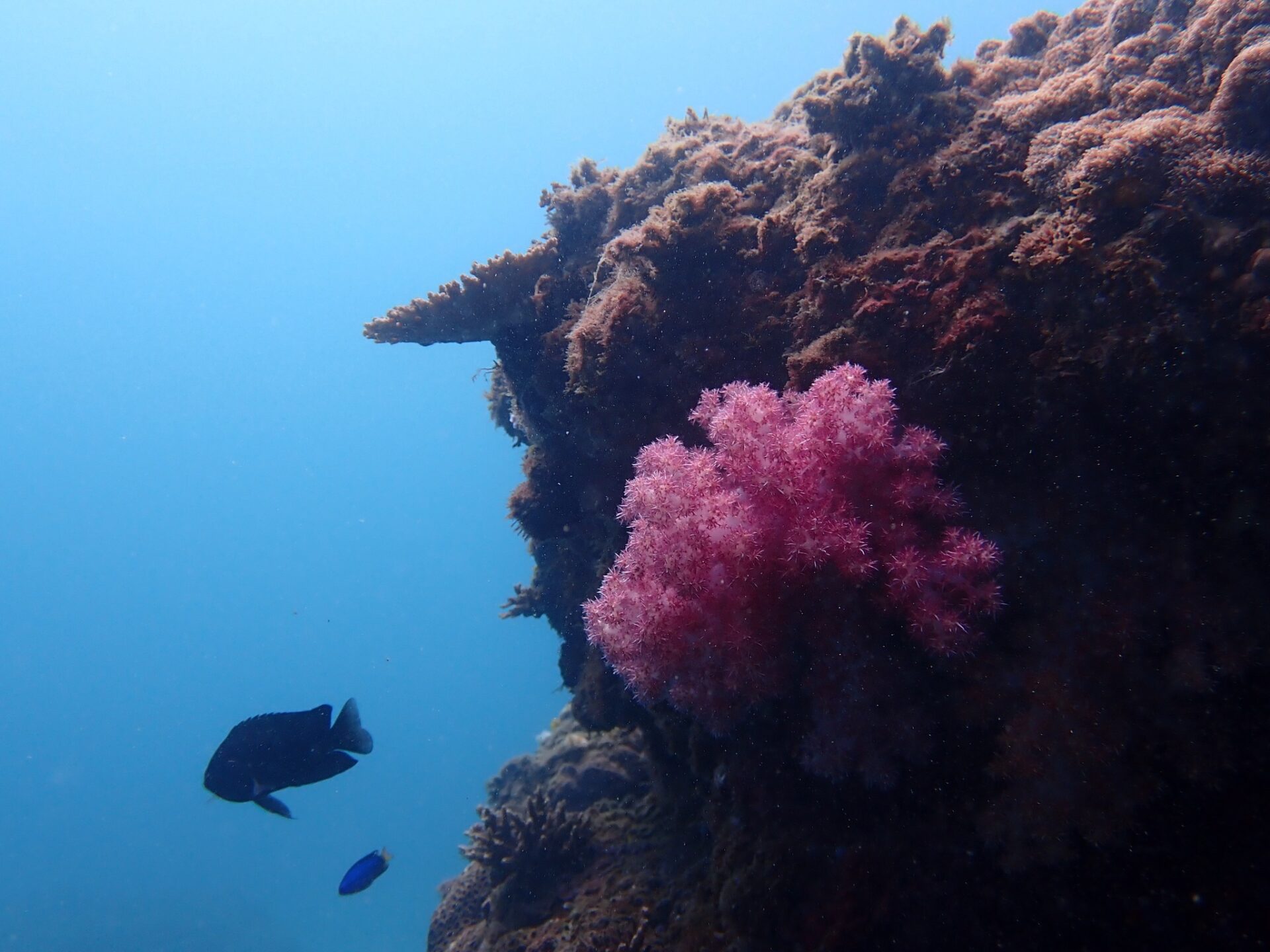 577550566_3756104221187738_5291076950420197611_n