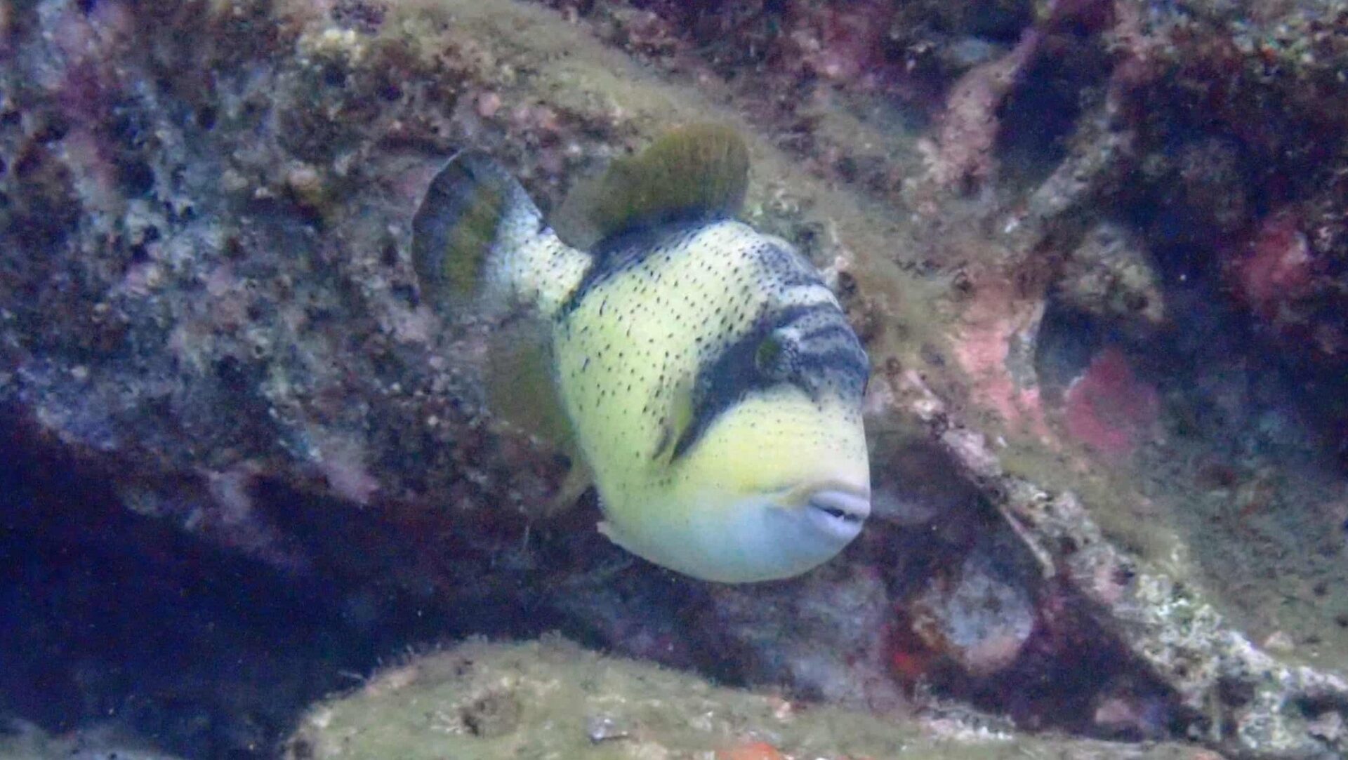 578959020_3756104377854389_1156560573408428059_n