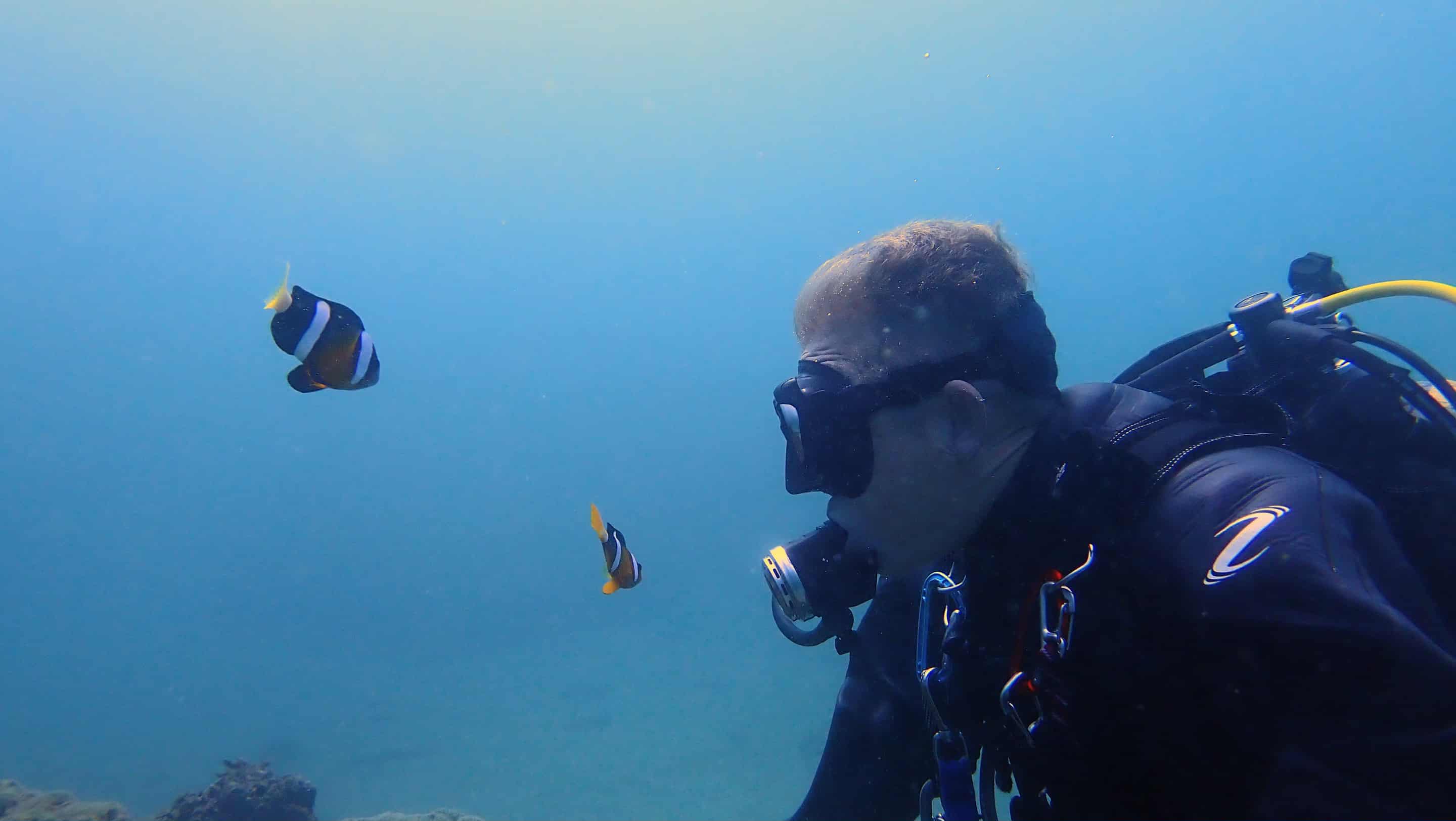 Messenger_creation_BD8C3771-5894-41B4-A341-B8EF544FBFFC